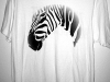 zebra-far-away